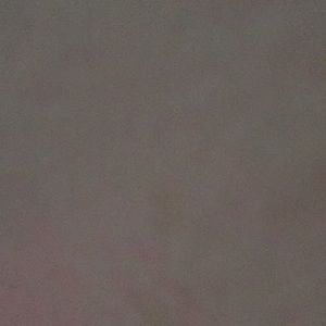 Meet your Posher, Terrance